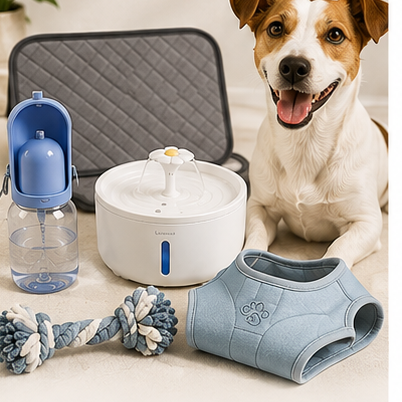 Dog Essentials